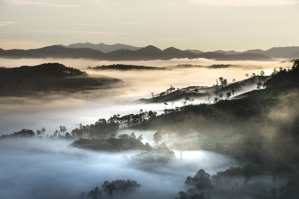Photo by Quangpraha mountains, foggy, vietnam