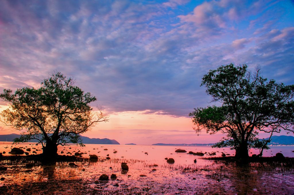 Photo by genybr2010 sunrise, phuket, thailand