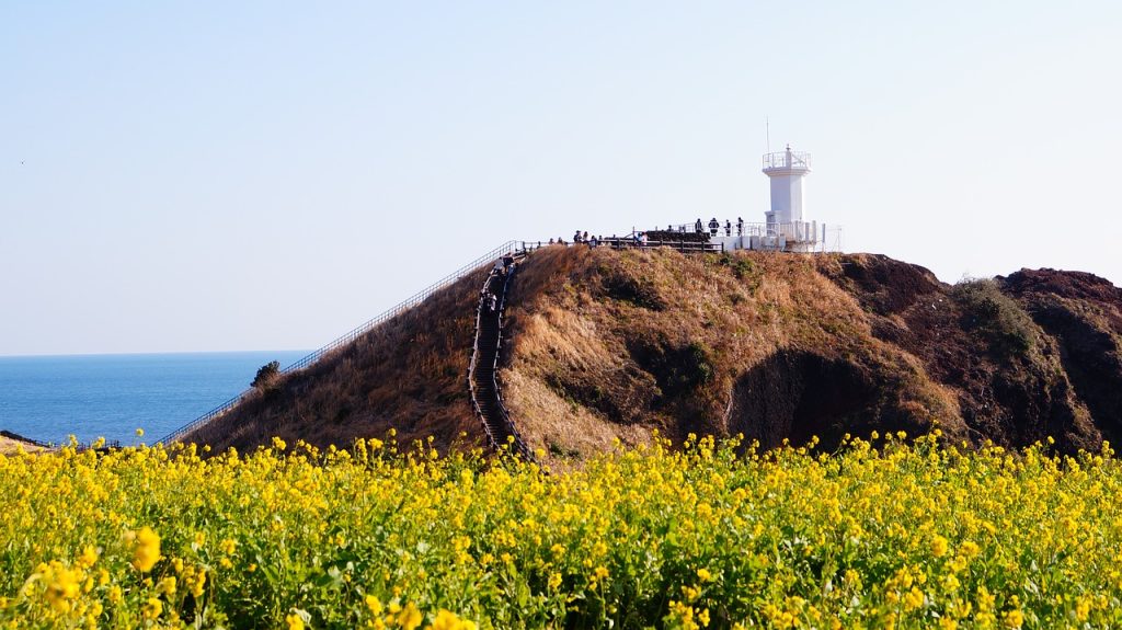 Photo by u_ealylazd lighthouse, jeju island, flower garden