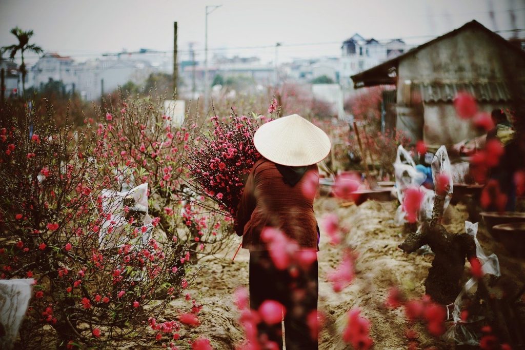 Photo by phuongnh258 flowers, garden, spring