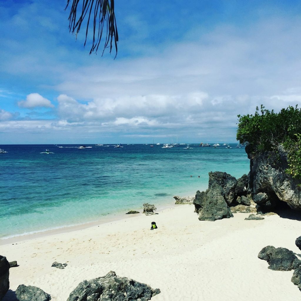 Photo by Vic Alcuaz green trees on white sand beach during daytime