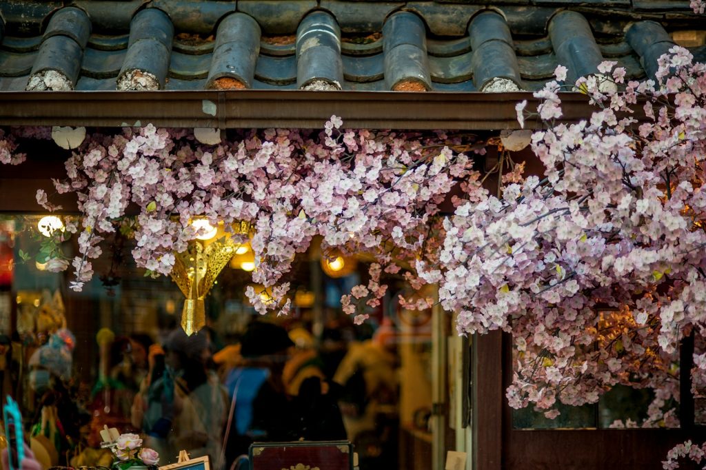 Photo by Timothy Ries pink petaled flowers on roof shingles