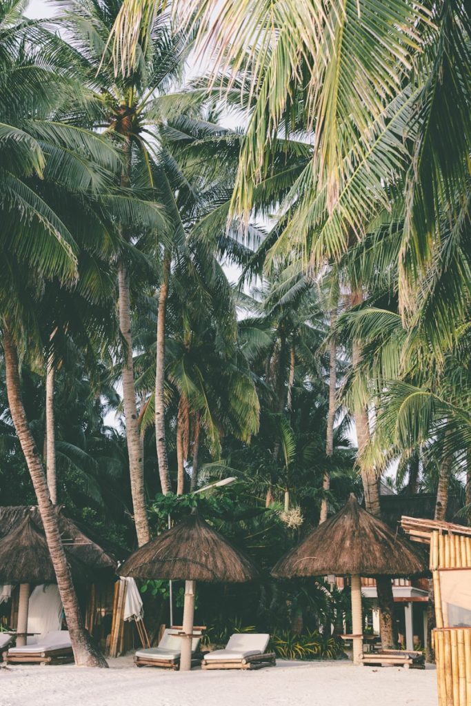Photo by Darya Jum brown wooden hut surrounded by green palm trees